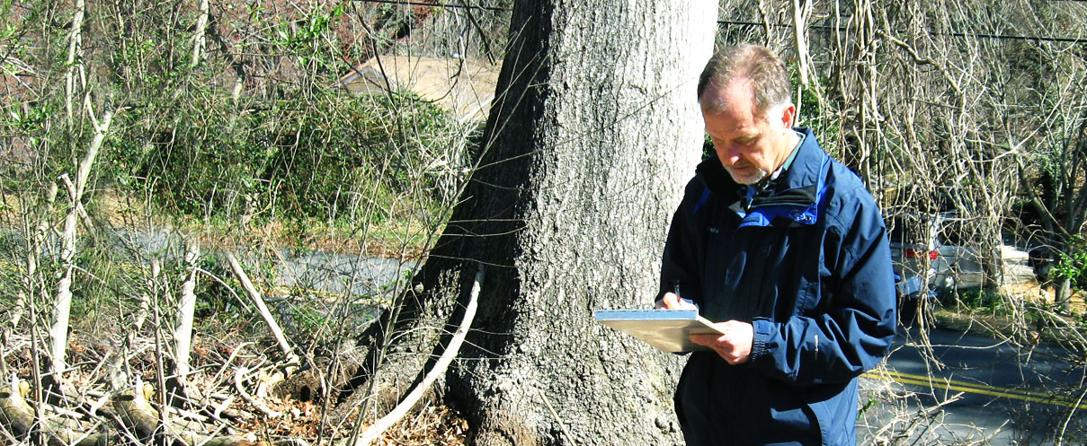 Barneycastle Forestry Services, Inc. is a full service arboriculture consulting firm