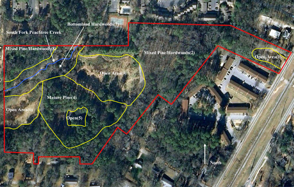 Urban Tree Inventories and Forest Management Plans